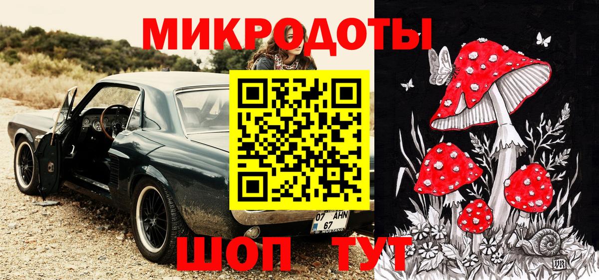 Псилоцибиновые грибы Psilocybe Алексин