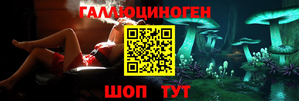 где купить наркоту  Псилоцибиновые грибы MAGIC MUSHROOMS  Алексин  Вход с VPN  Галлюциногенные грибы мицелий 